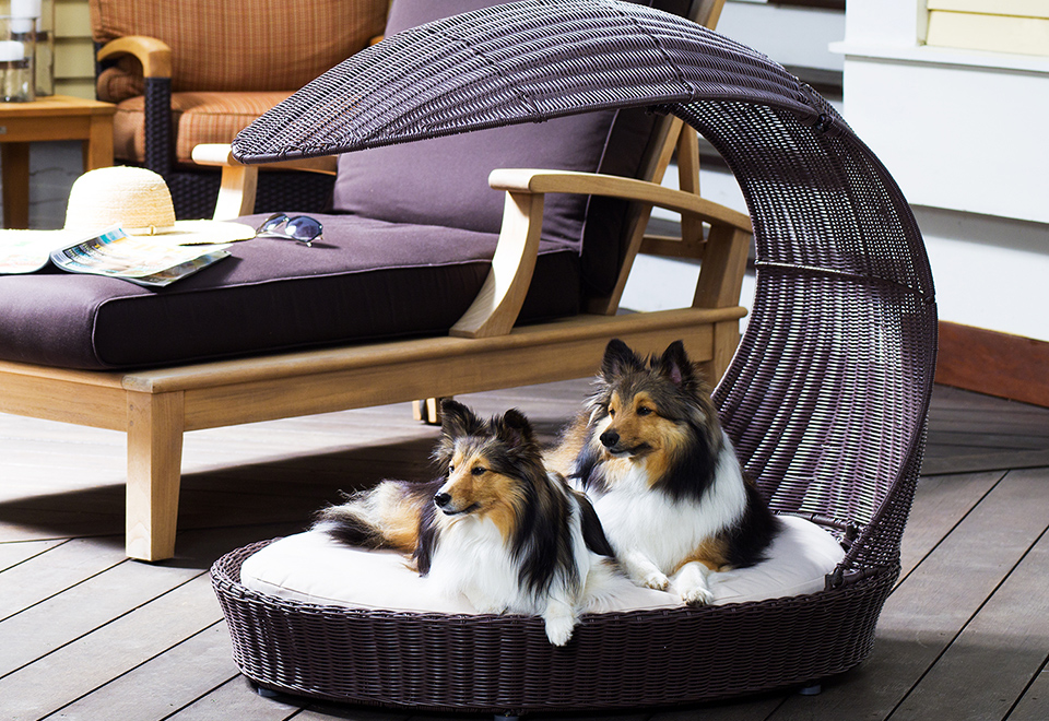Outdoor Dog Chaise Lounger, Sharper Image